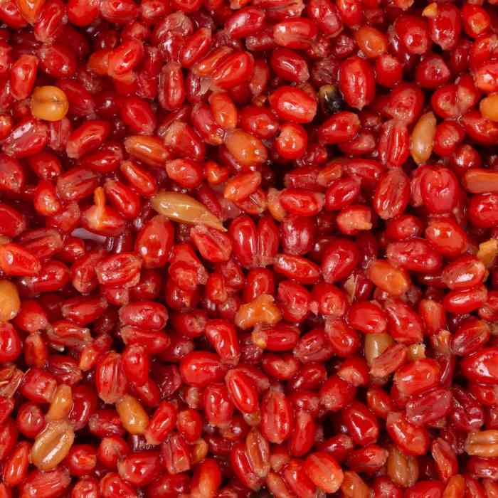 Зерновая смесь MINENKO Royal Plum Wheat (1кг)