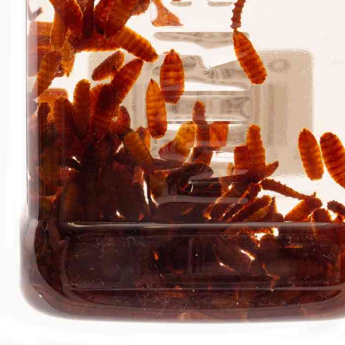 Ароматизатор MINENKO Animals in bottle Опарыш