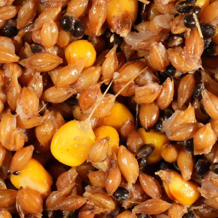 Зерновая дроблёная смесь MINENKO Wild Wheat (4кг) Дикая пшеница